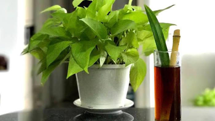 các món ăn ngon giải nhiệt mùa hè